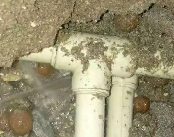 温江测漏水多少钱