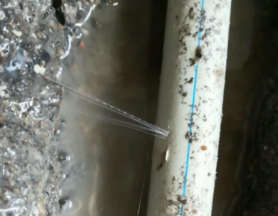 温江测漏水哪家好